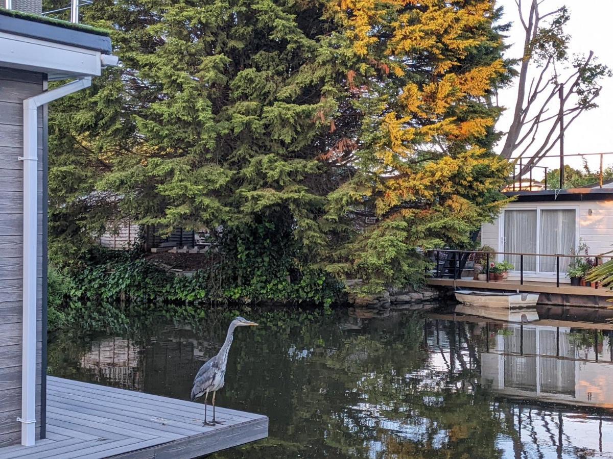 Hotel en barco Tulana Taggs - Floating On Idyllic Island Hampton Hill
